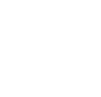 icon-model-1 model